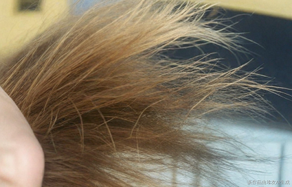 頭發(fā)干枯毛躁怎么辦？沈陽美發(fā)學校給大家支一招