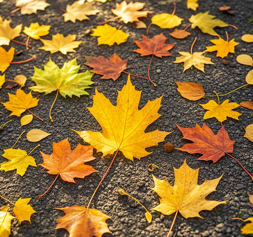 沈陽(yáng)攝影學(xué)校