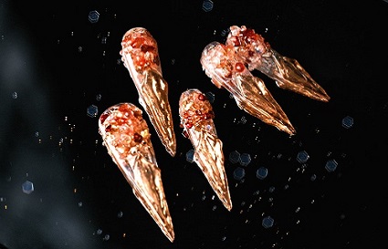 沈陽美甲學(xué)校 永夜星河同款鏡妖美甲解析