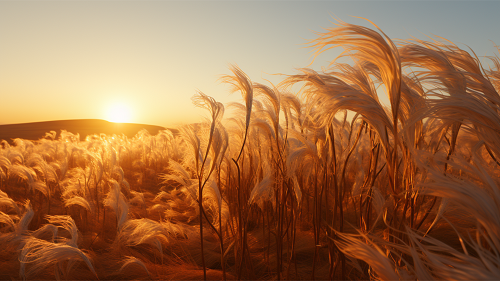 沈陽(yáng)攝影學(xué)校