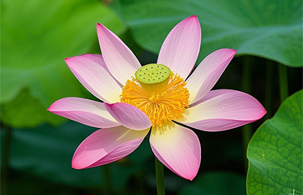 學(xué)習(xí)攝影要知道哪些問題？沈陽攝影學(xué)校