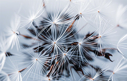 沈陽攝影學(xué)校 這篇文章教你拍好微距   