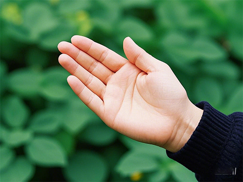 沈陽攝影學(xué)校