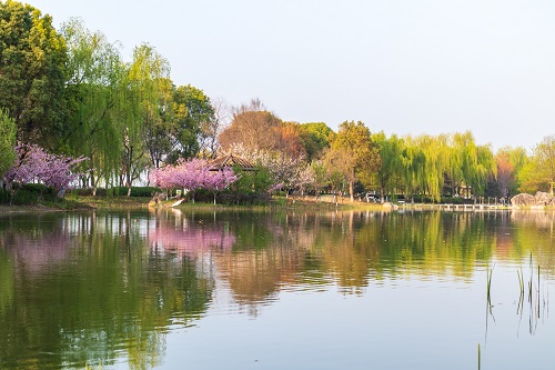 沈陽攝影學(xué)校