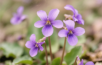 攝影入門基礎(chǔ)知識你知道嗎？沈陽攝影學(xué)校