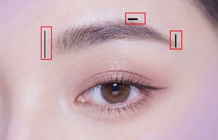 沈陽化妝學(xué)校：新手畫眉教程詳解